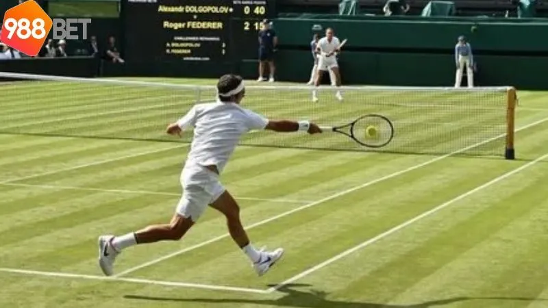 gioi-thieu-ve-ca-cuoc-tennis